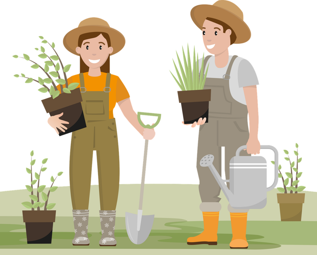 dandelion tea gardener 7089417 1280